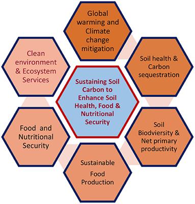 Editorial: Sustaining Soil Carbon to Enhance Soil Health, Food, Nutritional Security, and Ecosystem Services